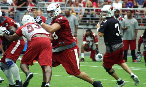 Quarterback Carson Palmer drops back to pass during training camp Aug. 1, 2015 (Photo by Adam Green...