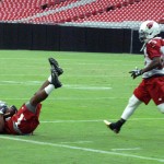 Running back Kerwynn Williams comes down with a catch on the sideline during Arizona Cardinals training camp Sunday, Aug. 2. (Photo by Adam Green/Arizona Sports)