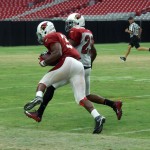 Running back David Johnson comes down with a catch as safety Chris Clemons defends during training camp Aug. 18. (Photo: Adam Green/Arizona Sports)
