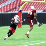 Tight end Darren Fells makes a touchdown catch in front of safety Deone Bucannon during Arizona Cardinals training camp Aug.12. (Photo by Adam Green/Arizona Sports)