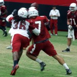 Receiver Trevor Harman tries to catch the ball while cornerback C.J. Roberts defends during training camp Aug. 20. (Photo: Adam Green/Arizona Sports)