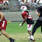 QB Carson Palmer drops back to pass while RB Andre Ellington is there to block during Arizona Cardinals training camp Aug.12. (Photo by Adam Green/Arizona Sports)