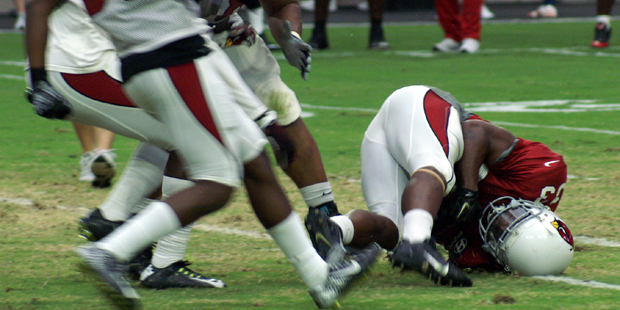RB Kerwynn Williams dives on the ground to secure a fumble during Arizona Cardinals training camp A...