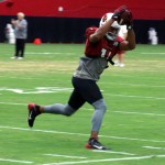 Larry Fitzgerald tries to keep his feet in bounds while making a catch during Arizona Cardinals training camp Aug. 11. (Photo by Adam Green/Arizona Sports)