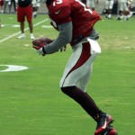 Rceiver Jaron Brown tiptoes the sideline while making a catch during Arizona Cardinals training camp Tuesday, Aug. 4. (Photo by Adam Green/Arizona Sports)