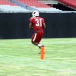 Running back David Johnson scores a receiving touchdown during Cardinals training camp Aug. 19. (Photo: Adam Green/Arizona Sports)