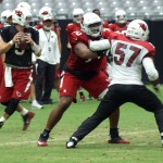 Drew Stanton drops back to pass while Bobby Massie tries to block Alex Okafor  during training camp Aug. 13. (Photo by: Adam Green/Arizona Sports)