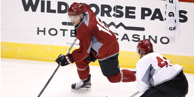 Arizona Coyotes' Max Domi (16) skates past Matthias Plachta (43) during the first full day of NHL h...