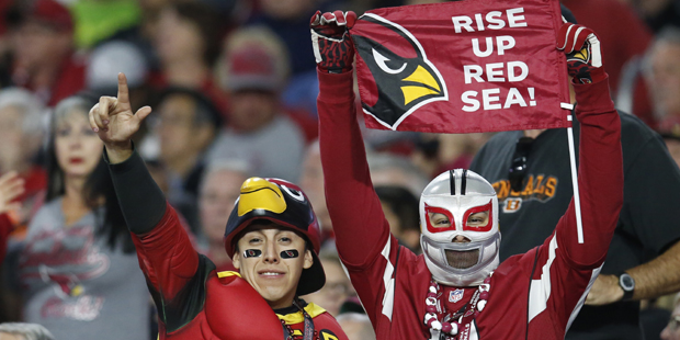 Arizona Cardinals Fans in the first half during an NFL football game, Sunday, Nov. 22, 2015, in Gle...