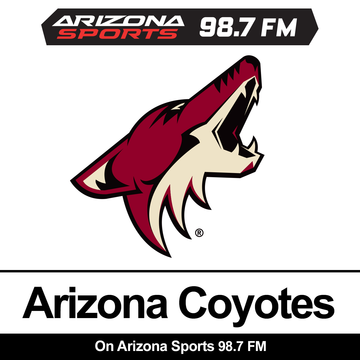 Bill Armstrong, Arizona Coyotes general manager Audio Length 1022