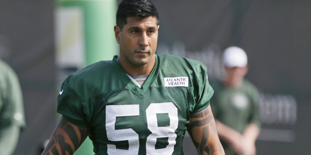 Jason Babin, LB
2015:  1 game (playoffs vs. Green Bay)
The team signed Babin before its Divisional ...