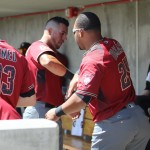 David Peralta (left) and Yasmany Tomás exchange a pre-game handshake in the dugout. (Photo by Kylee Sam/Cronkite News)