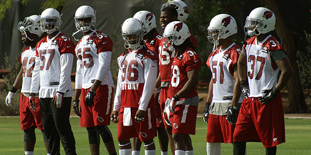 Members of the Cardinals watch during OTAs. (Photo by Adam Green/Arizona Sports)...