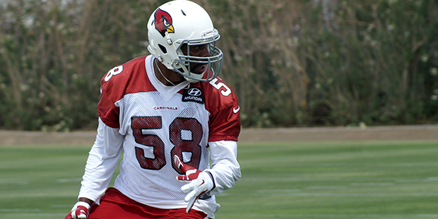 Cardinals linebacker Tristan Okpalaugo works during the team's rookie mini-camp. (Photo by Adam Gre...