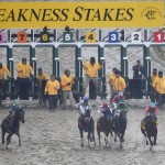Horses leave the starting gate during the 141st Preakness Stakes horse race at Pimlico Race Course, Saturday, May 21, 2016, in Baltimore. Exaggerator won the race. (AP Photo/Nick Wass)