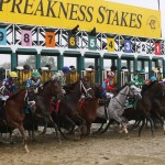 Horses leave the starting gate during the 141st Preakness Stakes horse race at Pimlico Race Course, Saturday, May 21, 2016, in Baltimore. Exaggerator won the race. (AP Photo/Garry Jones)