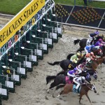 Horses leave the gate to begin the first horse race ahead of the 141st Preakness Stakes horse race at Pimlico Race Course, Saturday, May 21, 2016, in Baltimore. Homeboykris won the first race. (AP Photo/Mike Stewart)