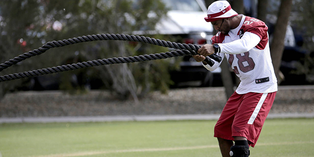 Arizona Cardinals' Justin Bethel swings ropes during a team practice, Tuesday, May 17, 2016, in Tem...