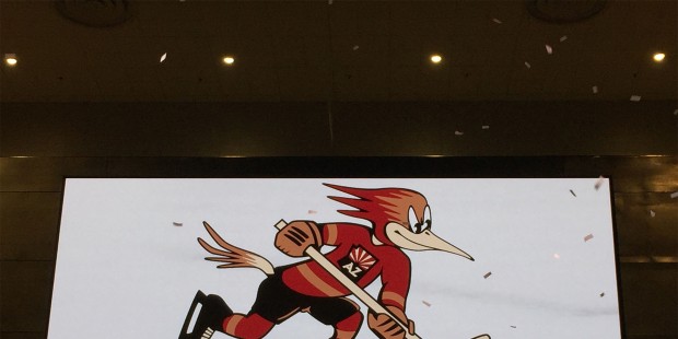 The Coyotes unveiled their the name and logo of their recently relocated AHL affiliate, the Tucson ...