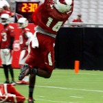 Receiver J.J. Nelson leaps to try and make a catch during training camp. (Photo by Adam Green/Arizona Sports)