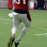 Receiver Amir Carlisle makes a leaping catch during training camp July 30. (Photo by Adam Green/Arizona Sports)