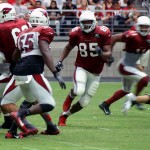 Tight end Darren Fells turns the corner to block as linebacker Chandler Jones reads the play during training camp on July 31. (Photo by Adam Green/Arizona Sports)