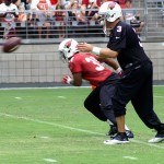 Carson Palmer receives the snap during training camp July 30. (Photo by Adam Green/Arizona Sports)