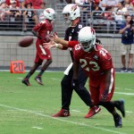Drew Stanton receives the snap while Chris Johnson runs a route during training camp July 30. (Photo by Adam Green/Arizona Sports)