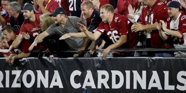 Arizona Cardinals fans cheer during the first half of an NFL  football game against the Cincinnati ...