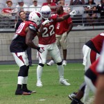 Safety Tony Jefferson motions to $ LB Deone Bucannon during training camp Aug. 24. (Photo by Adam Green/Arizona Sports)