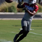 Receiver Larry Fitzgerald waits for the ball during a training camp practice Aug. 14. (Photo by Adam Green/Arizona Sports)