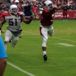 Running back David Johnson cannot reach the pass as linebacker Kevin Minter is in coverage during the team's training camp practice Aug. 6. (Photo by Adam Green/Arizona Sports)