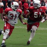 Running back David Johnson is chased down by linebacker Kevin Minter during training camp Aug. 21. (Photo by Adam Green/Arizona Sports)