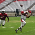 Running back David Johnson attempts to catch a pass during training camp Aug. 22. (Photo by Adam Green/Arizona Sports)