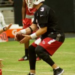 QB Carson Palmer takes the snap during training camp Aug. 10. (Photo by Adam Green)