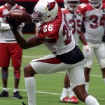 Cornerback Brandon Williams catches the ball during a drill in training camp on Aug. 1. (Photo by Adam Green/Arizona Sports)