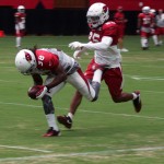 Running back Andre Ellington catches a pass while Marqui Christian defends during training camp Aug. 21. (Photo by Adam Green/Arizona Sports)