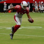 Receiver Larry Fitzgerald makes a one-handed catch during training camp Aug. 8. (Photo by Adam Green/Arizona Sports)