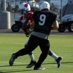 QB Matt Barkley hands the ball to RB Andre Ellington during a training camp practice Aug. 14. (Photo by Adam Green/Arizona Sports)