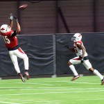 Receiver Michael Floyd leaps to make a touchdown catch with Brandon Williams in coverage during training camp on Aug. 1. (Photo by Adam Green/Arizona Sports)