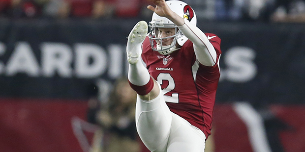 Arizona Cardinals punter Drew Butler (2) during an NFL divisional playoff football game against the...