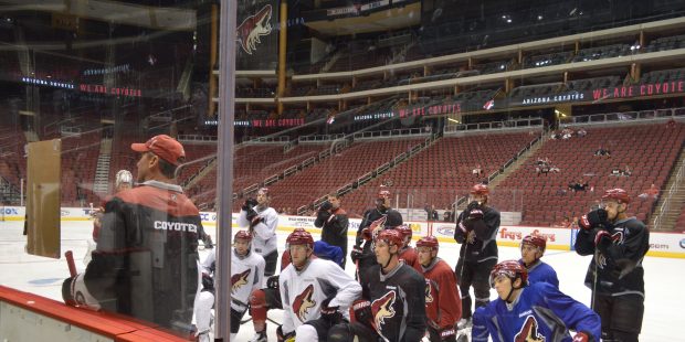 The Arizona Coyotes may have a different look as they take the ice for their 20th season, but their...