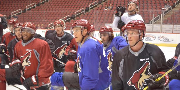 The Arizona Coyotes may have been one of the tallest and heaviest teams in the NHL last season, but...