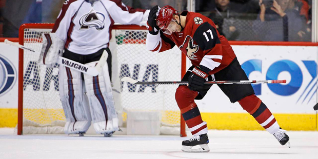 Arizona Coyotes right wing Radim Vrbata (17) skates back to the bench after scoring a goal against ...