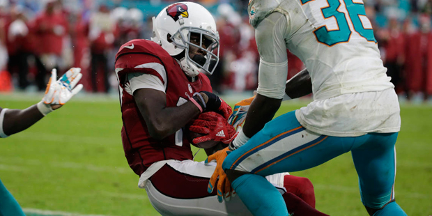 Arizona Cardinals wide receiver J.J. Nelson (14) catches a pass for a touchdown between Miami Dolph...