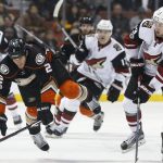 Anaheim Ducks' Kevin Bieksa, front left, loses his balance while battling for the puck against Arizona Coyotes' Peter Holland (13) in the first period of an NHL hockey game in Anaheim, Calif., Friday, Jan. 6, 2017. (AP Photo/Christine Cotter)