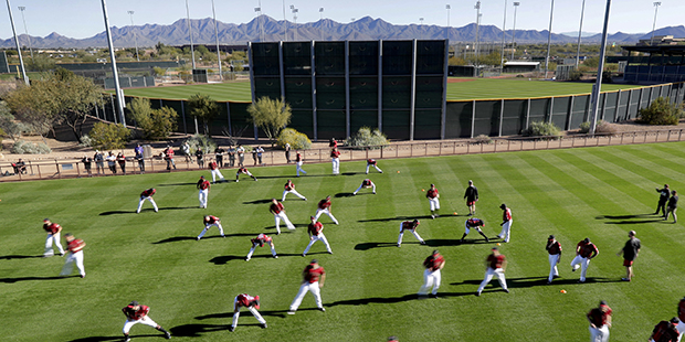 Arizona Diamondbacks players stretch during spring training baseball workouts in Scottsdale, Ariz. ...