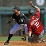 Arizona Diamondbacks catcher Chris Herrmann (10) steals second base as he arrives at the base ahead of the tag from Chicago White Sox second baseman Carlos Sanchez, left, during the second inning of a spring training baseball game Thursday, March 9, 2017, in Glendale, Ariz. (AP Photo/Ross D. Franklin)