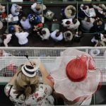 Women in hats watch a race before the 143rd running of the Kentucky Derby horse race at Churchill Downs Saturday, May 6, 2017, in Louisville, Ky. (AP Photo/Charlie Riedel)