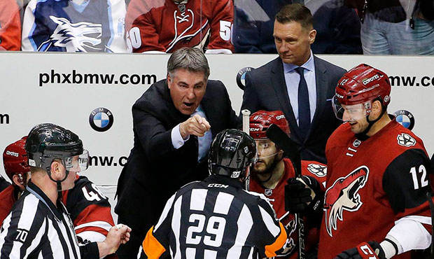 Head coach Dave Tippett's time with the Coyotes: By the Numbers